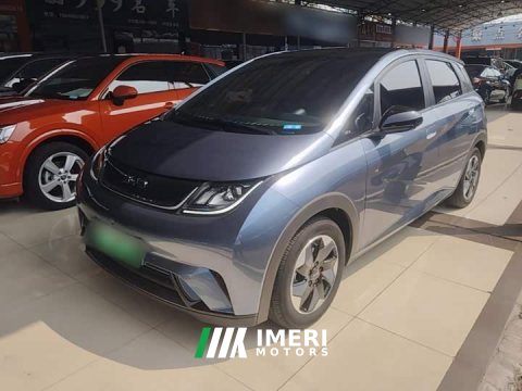 2024 BYD Dolphin Glory Edition 420km Fashion Version - ავტომობილი ჩინეთიდან