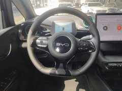 BYD Dolphin Glory Edition 420km Fashion Version - ფოტო 11