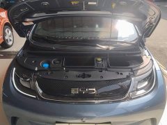 BYD Dolphin Glory Edition 420km Fashion Version - ფოტო 20