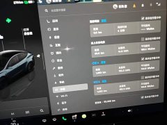 Tesla Model Y Rear-Wheel Drive - ფოტო 12