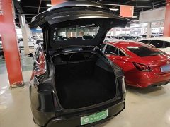Tesla Model Y Rear-Wheel Drive - ფოტო 19