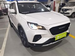 Soueast Southeast DX8S 1.5T DCT Gulf Edition 5-Seater - фото 4