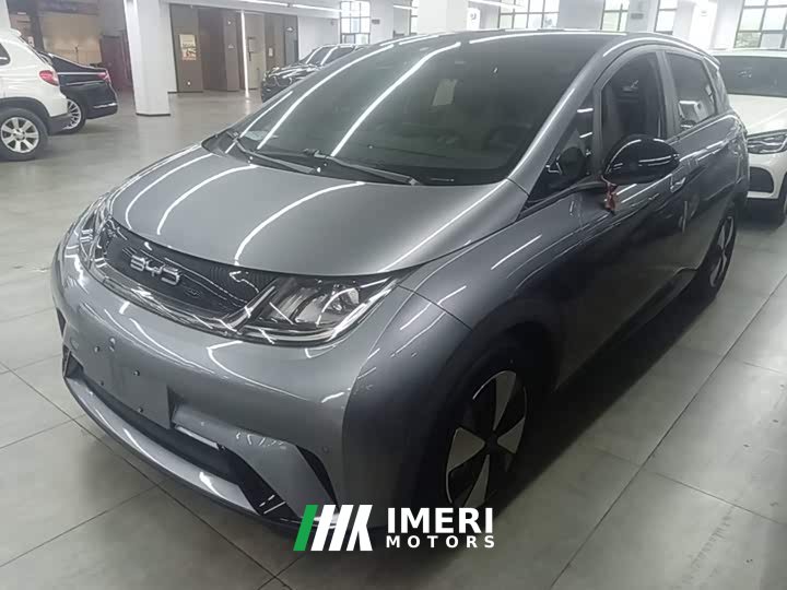 BYD Dolphin 420km Fashion Edition - ავტომობილი ჩინეთიდან