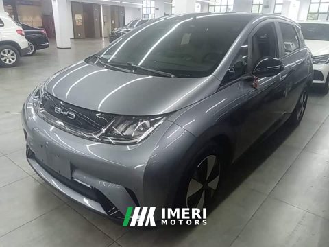2023 BYD Dolphin 420km Fashion Edition - ავტომობილი ჩინეთიდან