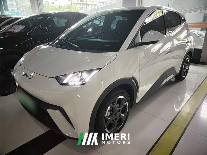 BYD Seagull Glory Edition 305km Vitality Version