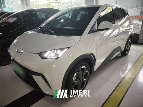 2024 BYD Seagull Glory Edition 305km Vitality Version - ავტომობილი ჩინეთიდან
