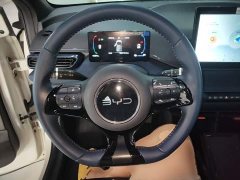 BYD Seagull Glory Edition 305km Vitality Version - ფოტო 11