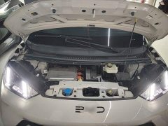 BYD Seagull Glory Edition 305km Vitality Version - ფოტო 20