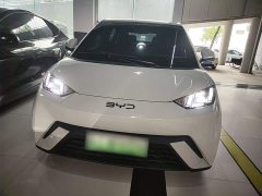BYD Seagull Glory Edition 305km Vitality Version - ფოტო 3