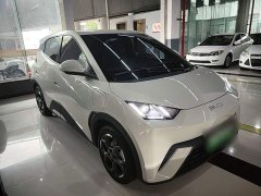 BYD Seagull Glory Edition 305km Vitality Version - ფოტო 4