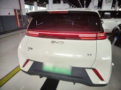 BYD Seagull Glory Edition 305km Vitality Version - ფოტო 6