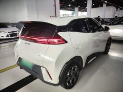 BYD Seagull Glory Edition 305km Vitality Version - ფოტო 7