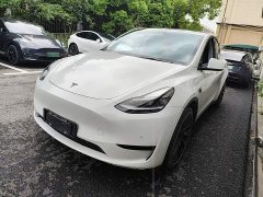 Tesla Model Y Rear-Wheel Drive - ფოტო 2