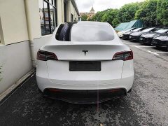 Tesla Model Y Rear-Wheel Drive - ფოტო 4