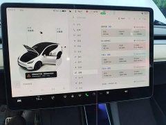 Tesla Model Y Rear-Wheel Drive - ფოტო 8