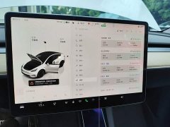 Tesla Model Y Rear-Wheel Drive - ფოტო 9