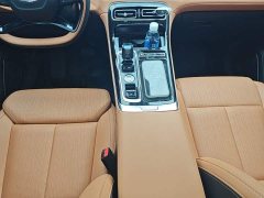 Geely Boyue L 2025 Fourth Generation 1.5TD DCT Jinxiu - ფოტო 14