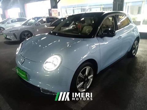 2022 ORA Good Cat Morandi Edition 400km Standard Range Deluxe Type LFP Battery - ავტომობილი ჩინეთიდან