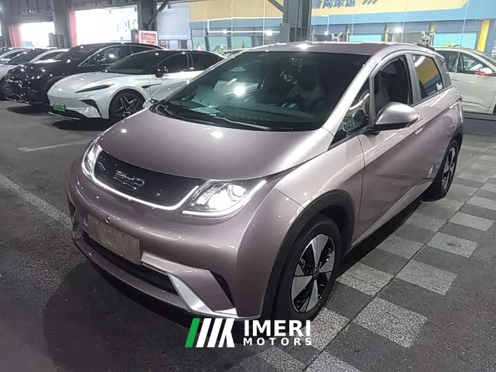 BYD Dolphin 420km Freedom Edition - ავტომობილი ჩინეთიდან
