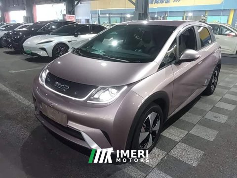 2023 BYD Dolphin 420km Freedom Edition - ავტომობილი ჩინეთიდან