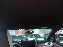 BYD Dolphin 420km Freedom Edition - ფოტო 14