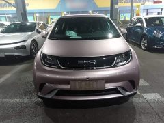 BYD Dolphin 420km Freedom Edition - ფოტო 3