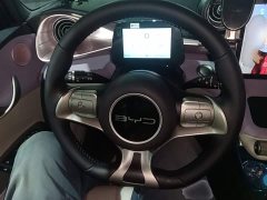 BYD Dolphin 420km Freedom Edition - ფოტო 7