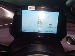 BYD Dolphin 420km Freedom Edition - ფოტო 8