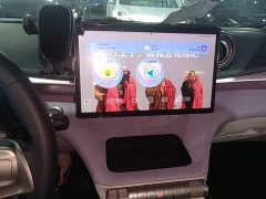 BYD Dolphin 420km Freedom Edition - ფოტო 9