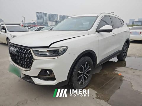 2023 Haval H6 National Trend Edition 1.5T Automatic Urban Version - ავტომობილი ჩინეთიდან
