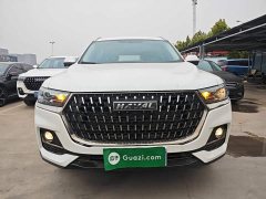 Haval H6 National Trend Edition 1.5T Automatic Urban Version - ფოტო 3