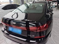 Volkswagen Passat 330TSI Starry Sky Elite - ფოტო 6