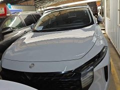 Nissan Raize 260T Love Bean Edition - ფოტო 3