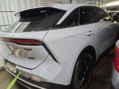 Nissan Raize 260T Love Bean Edition - ფოტო 5