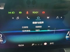 Arcfox Alpha S 2022 708S 160kW - ფოტო 12