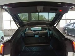Arcfox Alpha S 2022 708S 160kW - ფოტო 19