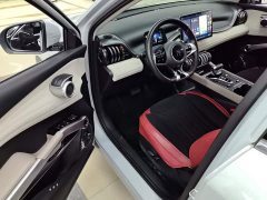 BYD Yuan Plus 2023 Champion Edition 510KM Leading - ფოტო 16