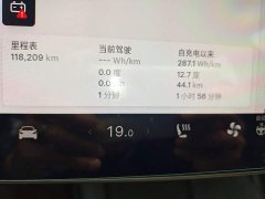 Tesla Model 3 Performance All-Wheel Drive - ფოტო 12