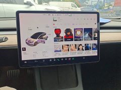 Tesla Model 3 Performance All-Wheel Drive - ფოტო 13