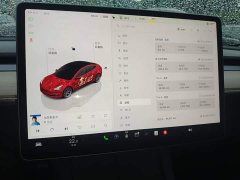 Tesla Model 3 2022 Rear-Wheel Drive - ფოტო 8