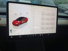 Tesla Model 3 2022 Rear-Wheel Drive - ფოტო 9