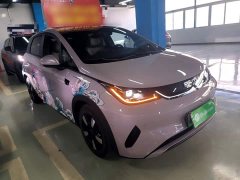 BYD Dolphin Smart Drive 410km Fashion Edition - ფოტო 4
