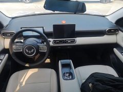 Wuling Binguo PLUS 401km 5-Seater - ფოტო 10