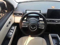 Wuling Binguo PLUS 401km 5-Seater - ფოტო 11