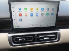 Wuling Binguo PLUS 401km 5-Seater - ფოტო 13