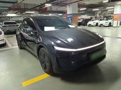 Tesla Model Y Rear-Wheel Drive - ფოტო 4