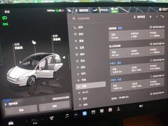 Tesla Model 3 Rear-Wheel Drive - ფოტო 12