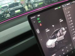 Tesla Model 3 Rear-Wheel Drive - ფოტო 14