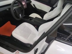 Tesla Model 3 Rear-Wheel Drive - ფოტო 15