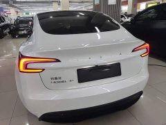 Tesla Model 3 Rear-Wheel Drive - ფოტო 6